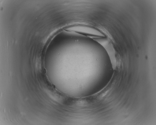 X0000074290204200609081900