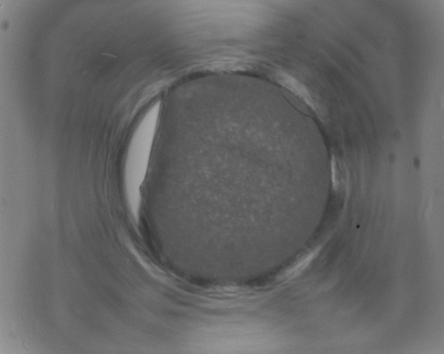 X0000074290205200609081900