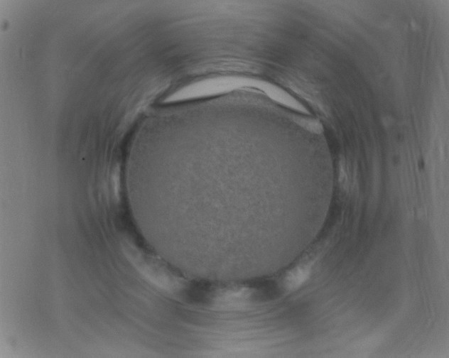 X0000074290206200609081900