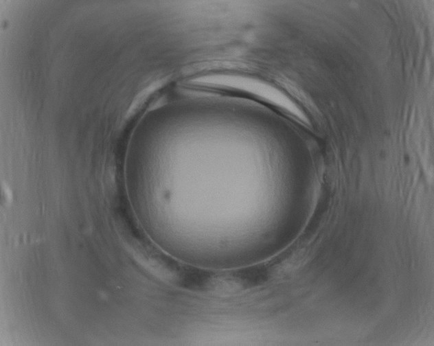 X0000074290207200609081900