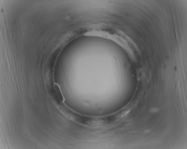 X0000074290209200609081900