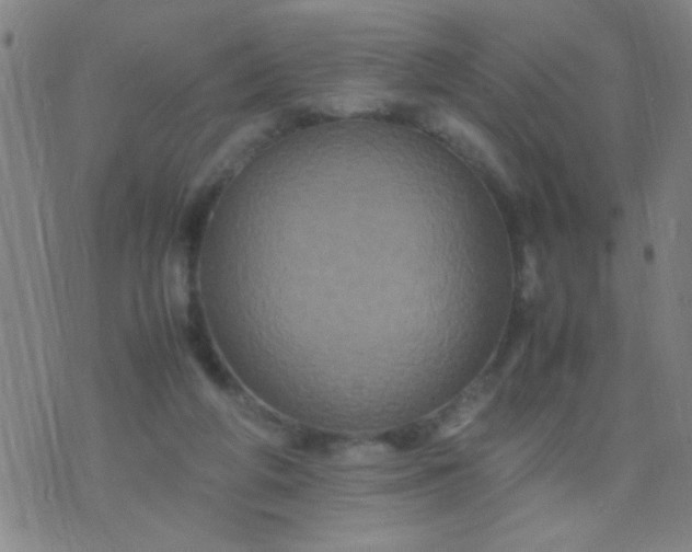 X0000074290210200609081900