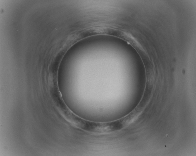 X0000074290213200609081900