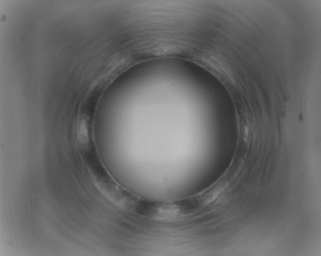 X0000074290214200609081900