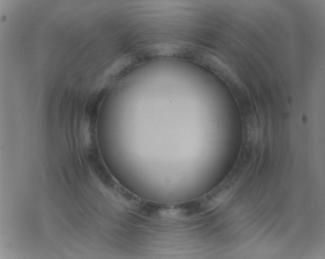 X0000074290216200609081900