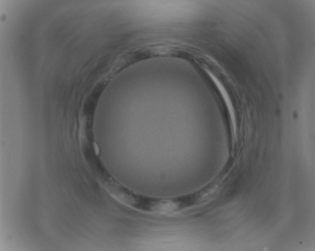 X0000074290217200609081900