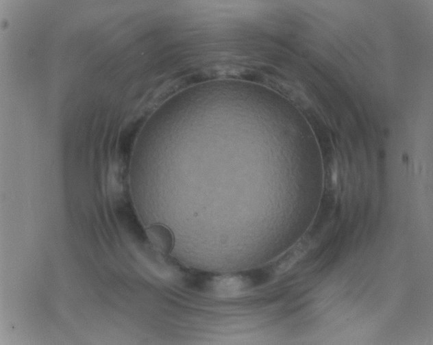 X0000074290218200609081900