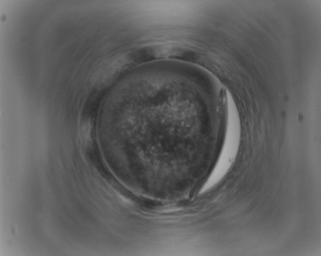 X0000074290219200609081900