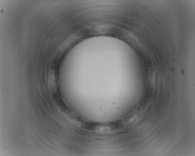 X0000074290220200609081900