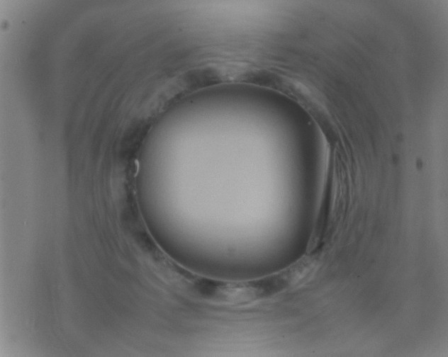 X0000074290221200609081900