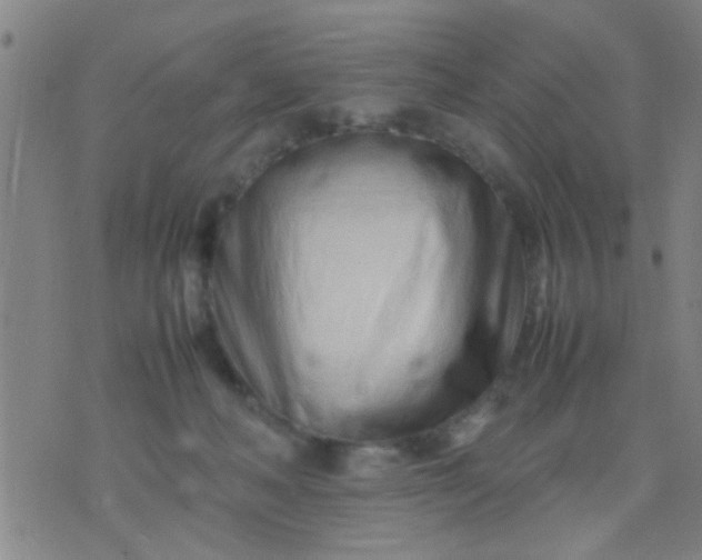 X0000074290222200609081900