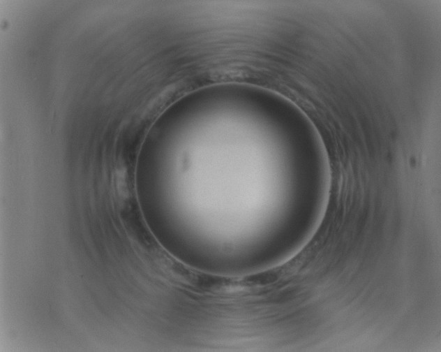 X0000074290224200609081900