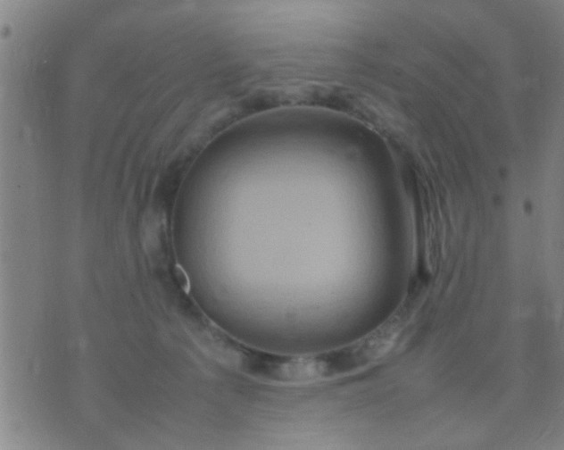 X0000074290225200609081900