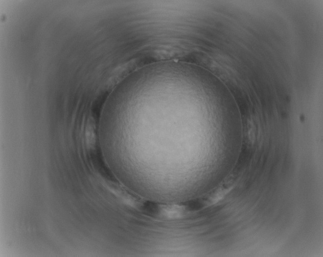 X0000074290226200609081900