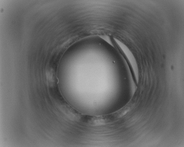 X0000074290228200609081900