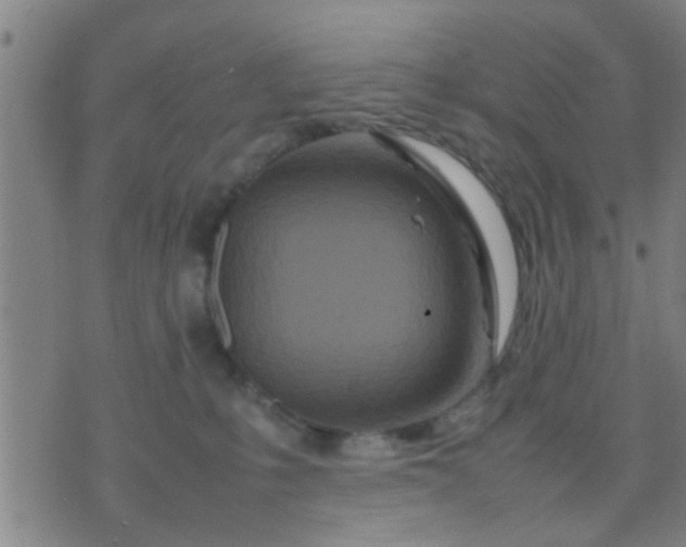 X0000074290231200609081900