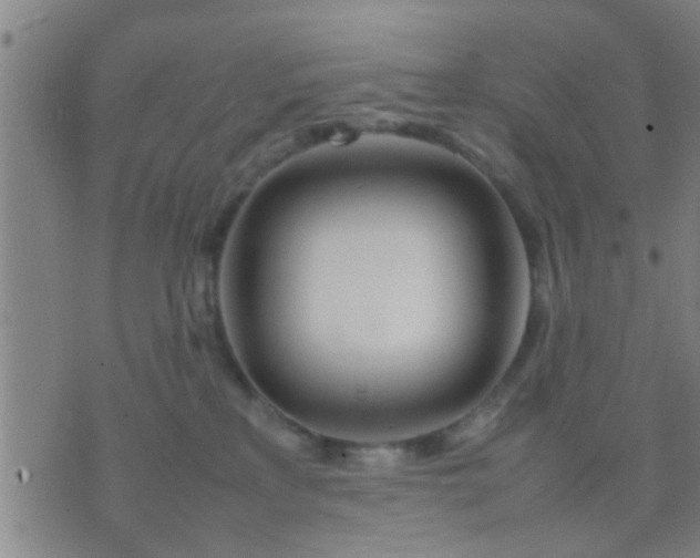 X0000074290233200609081900