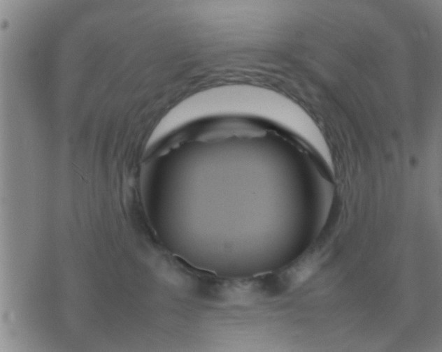 X0000074290235200609081900