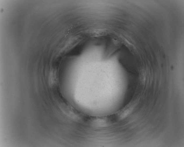 X0000074290236200609081900