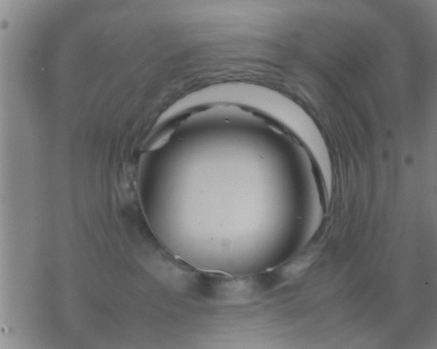 X0000074290237200609081900