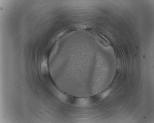 X0000074290238200609081900