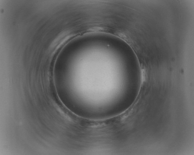 X0000074290243200609081859