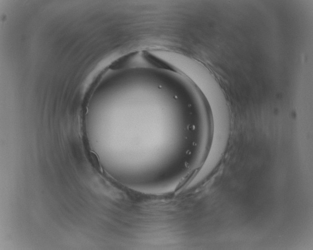 X0000074290244200609081859