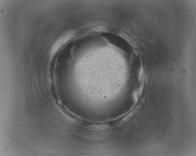 X0000074290245200609081859