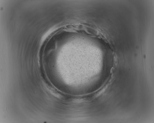 X0000074290246200609081859