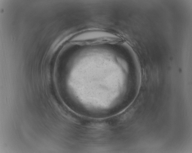 X0000074290247200609081859