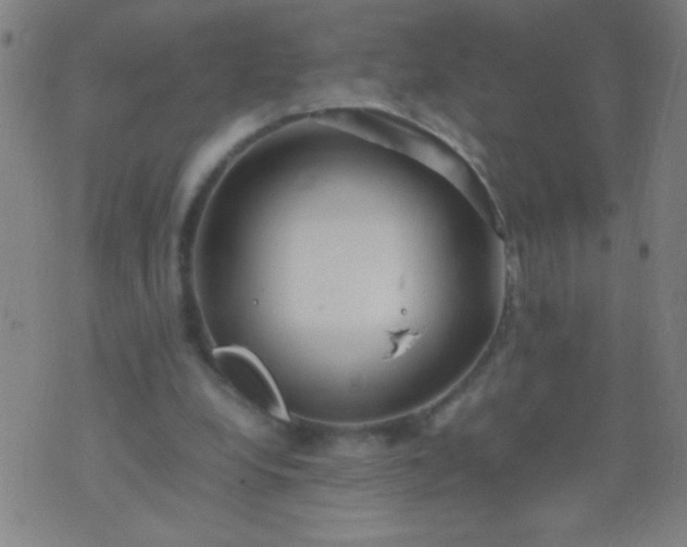 X0000074290248200609081859