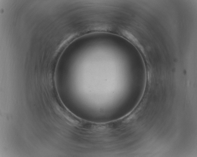 X0000074290249200609081859