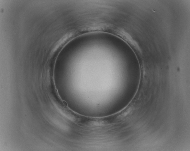 X0000074290250200609081859