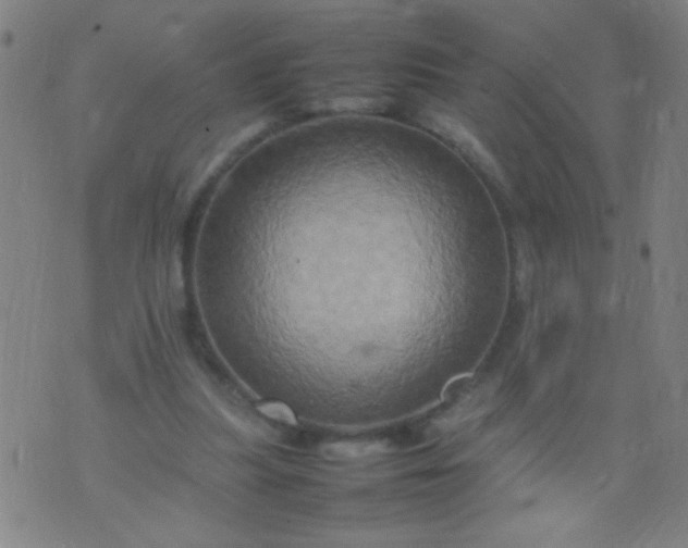 X0000074290251200609081859