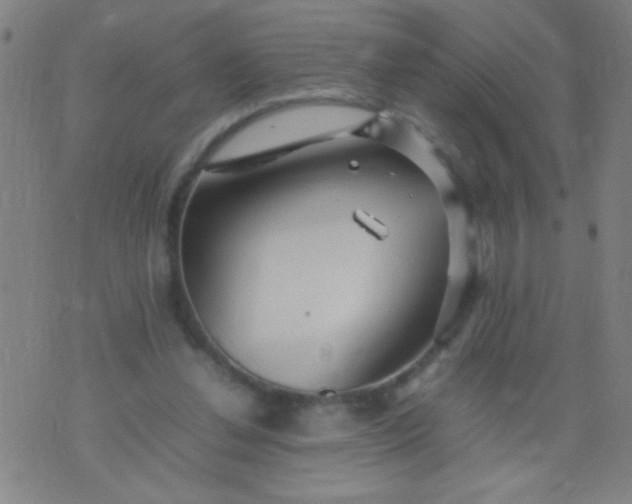 X0000074290252200609081859