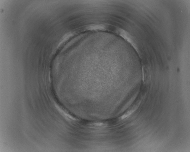 X0000074290253200609081859