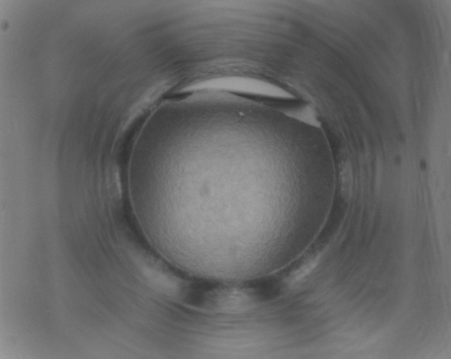 X0000074290254200609081859