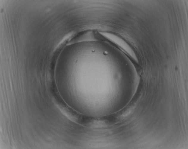 X0000074290256200609081859