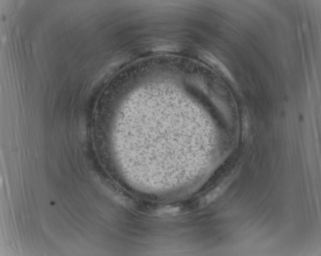 X0000074290257200609081859