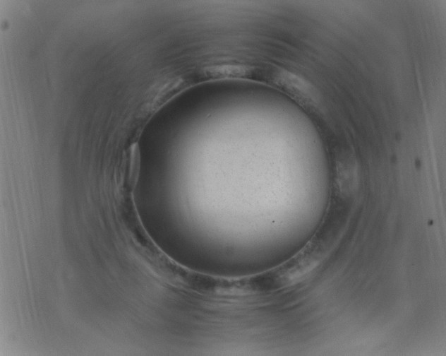 X0000074290259200609081859