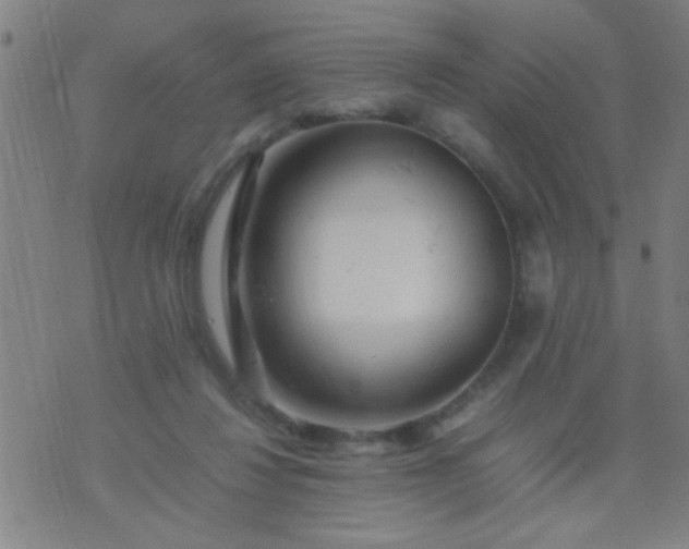 X0000074290260200609081859