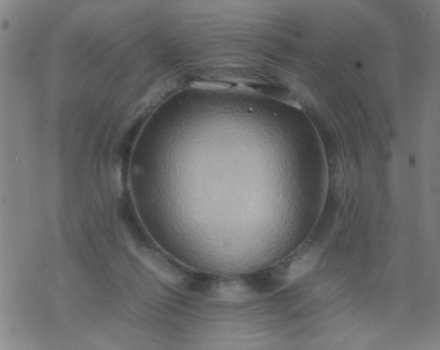 X0000074290262200609081859