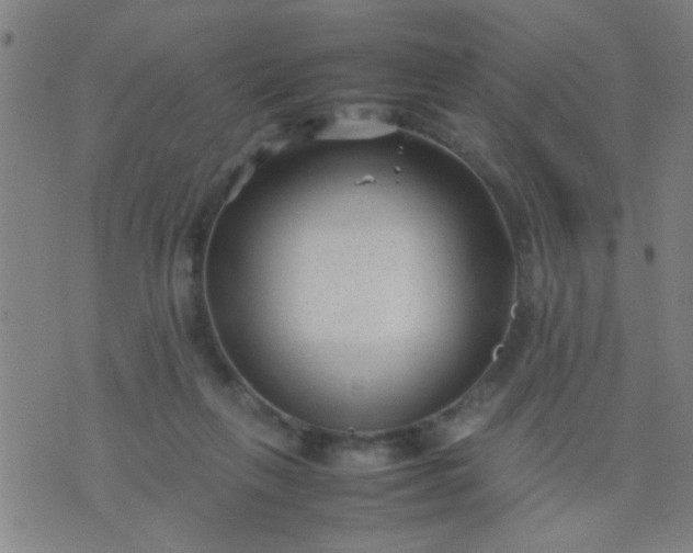 X0000074290263200609081859