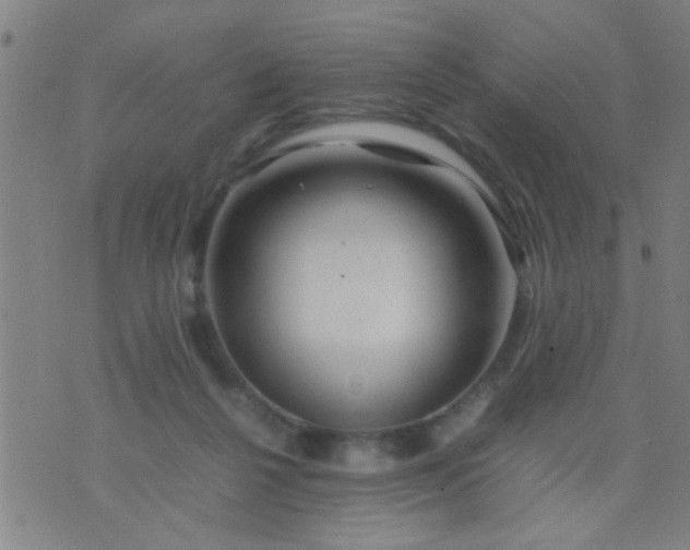 X0000074290264200609081859