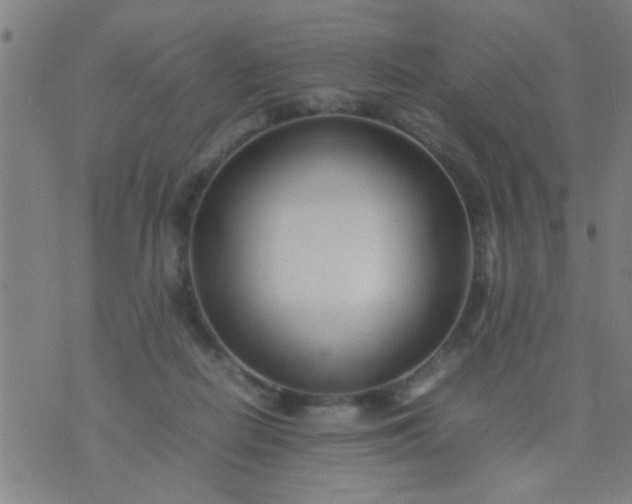 X0000074290266200609081859