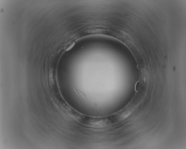 X0000074290267200609081859