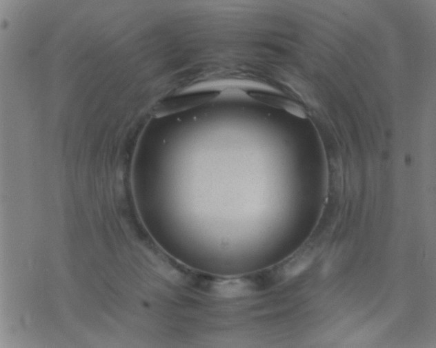 X0000074290269200609081859