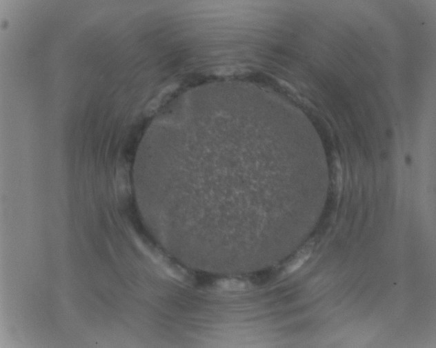 X0000074290272200609081859