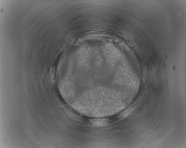 X0000074290273200609081859