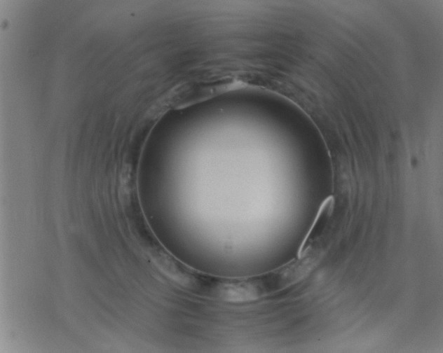 X0000074290275200609081859